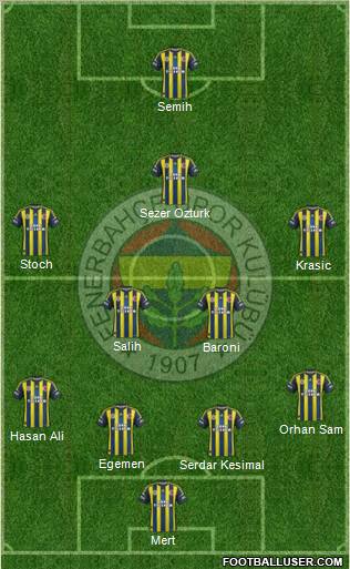 Fenerbahçe SK Formation 2013