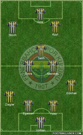 Fenerbahçe SK Formation 2013
