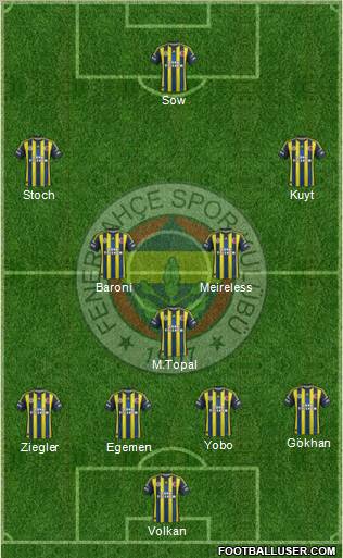 Fenerbahçe SK Formation 2013