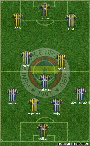 Fenerbahçe SK Formation 2013