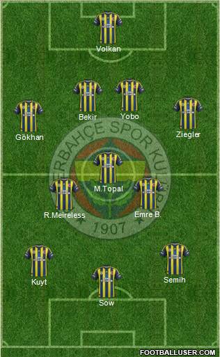 Fenerbahçe SK Formation 2013
