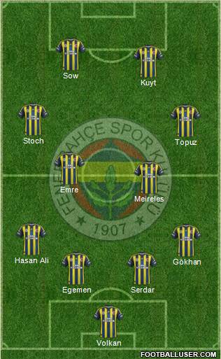 Fenerbahçe SK Formation 2013