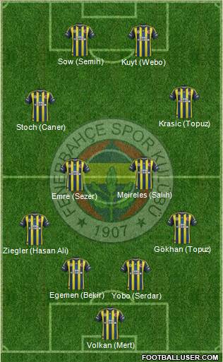 Fenerbahçe SK Formation 2013