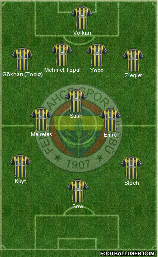 Fenerbahçe SK Formation 2013