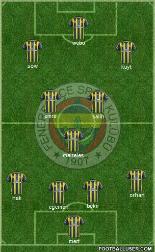Fenerbahçe SK Formation 2013