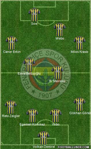 Fenerbahçe SK Formation 2013