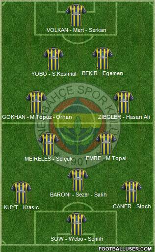 Fenerbahçe SK Formation 2013