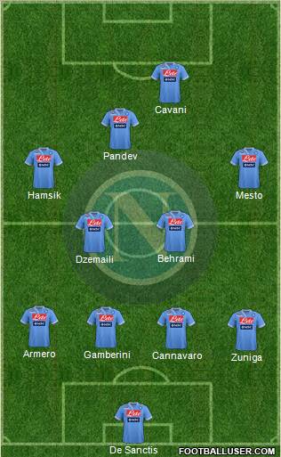 Napoli Formation 2013