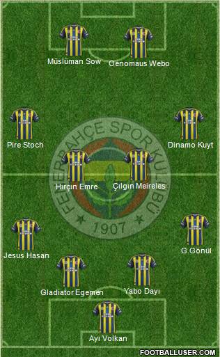Fenerbahçe SK Formation 2013