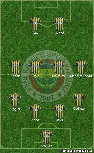 Fenerbahçe SK Formation 2013