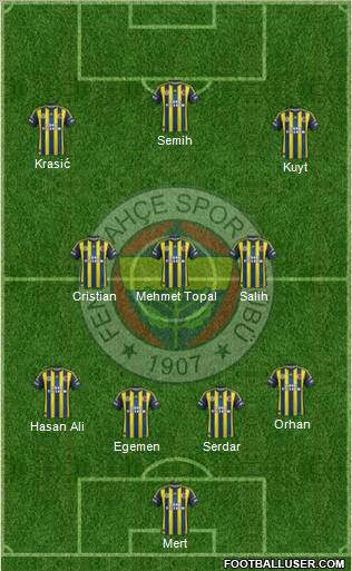 Fenerbahçe SK Formation 2013
