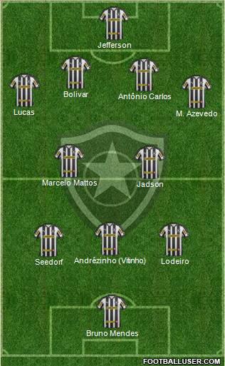 Botafogo FR Formation 2013