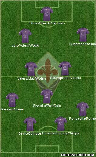 Fiorentina Formation 2013