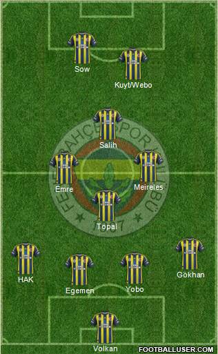 Fenerbahçe SK Formation 2013