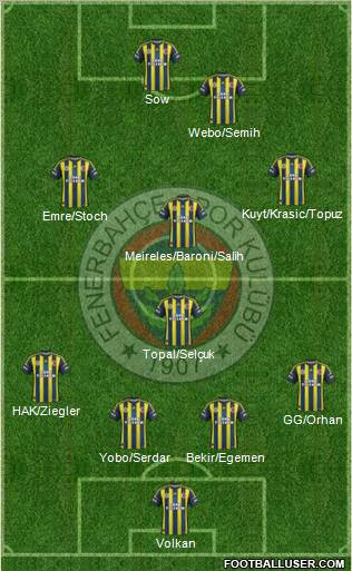Fenerbahçe SK Formation 2013
