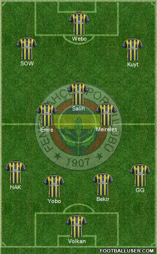 Fenerbahçe SK Formation 2013