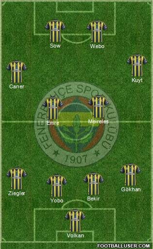 Fenerbahçe SK Formation 2013