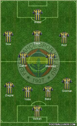 Fenerbahçe SK Formation 2013