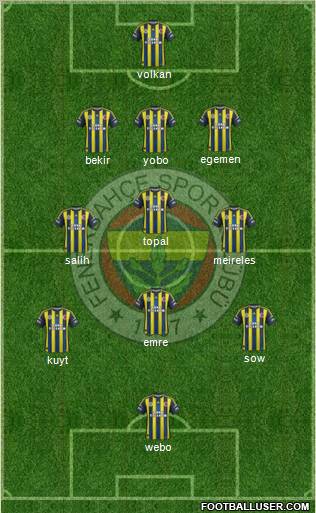 Fenerbahçe SK Formation 2013