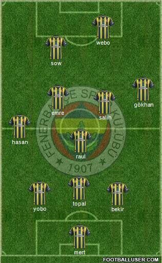 Fenerbahçe SK Formation 2013