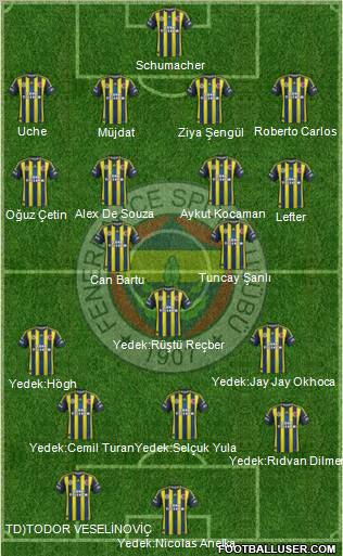Fenerbahçe SK Formation 2013