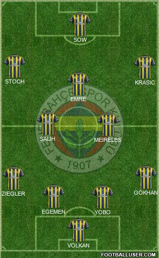 Fenerbahçe SK Formation 2013