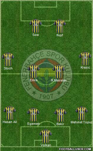 Fenerbahçe SK Formation 2013