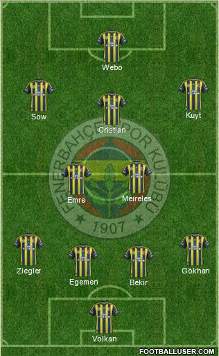 Fenerbahçe SK Formation 2013