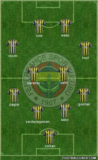 Fenerbahçe SK Formation 2013