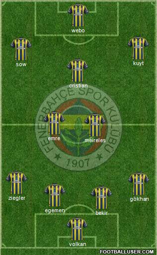 Fenerbahçe SK Formation 2013