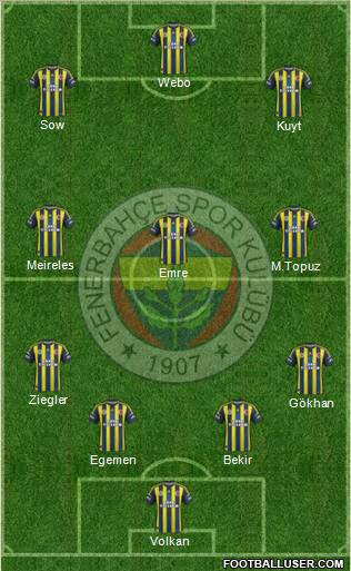 Fenerbahçe SK Formation 2013