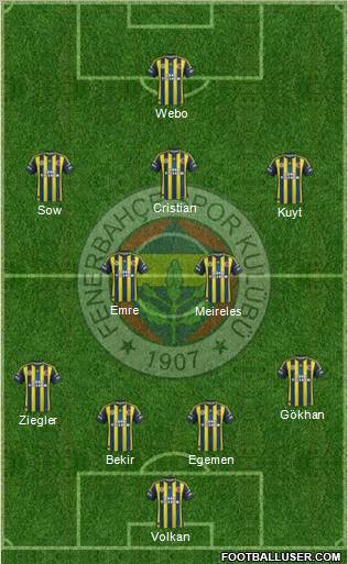 Fenerbahçe SK Formation 2013