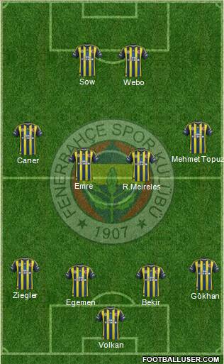 Fenerbahçe SK Formation 2013