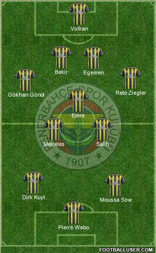 Fenerbahçe SK Formation 2013