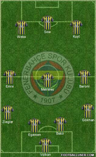 Fenerbahçe SK Formation 2013