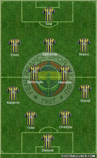 Fenerbahçe SK Formation 2013