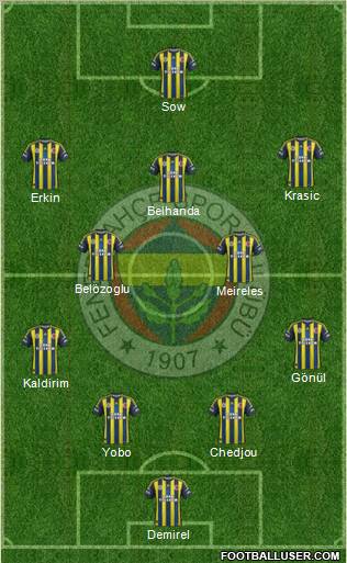 Fenerbahçe SK Formation 2013