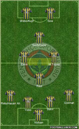 Fenerbahçe SK Formation 2013
