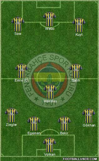 Fenerbahçe SK Formation 2013