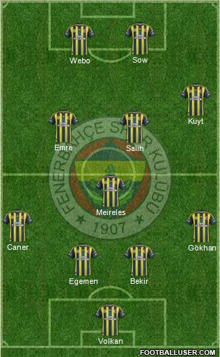 Fenerbahçe SK Formation 2013