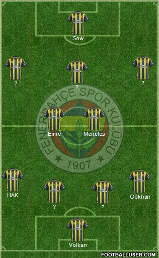 Fenerbahçe SK Formation 2013