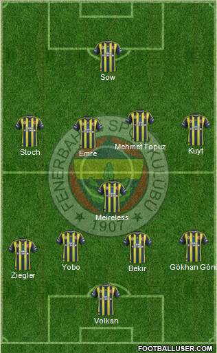 Fenerbahçe SK Formation 2013