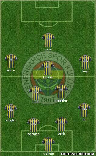 Fenerbahçe SK Formation 2013