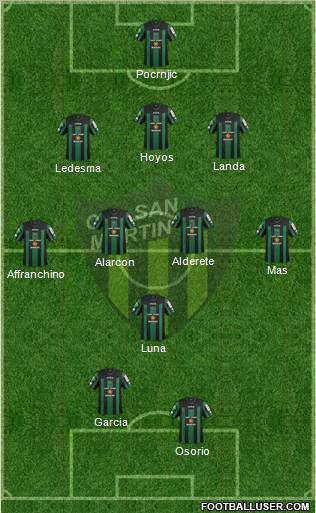 San Martín de San Juan Formation 2013