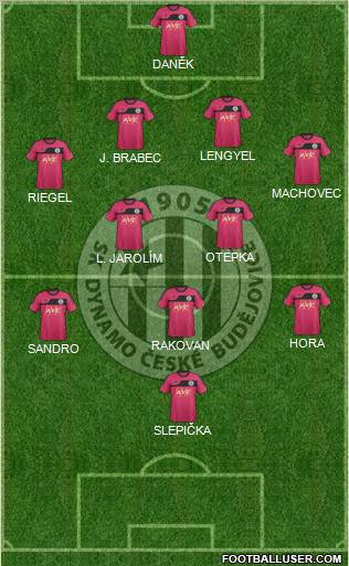 Ceske Budejovice Formation 2013