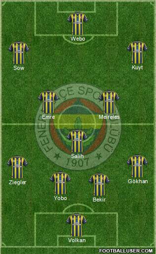 Fenerbahçe SK Formation 2013