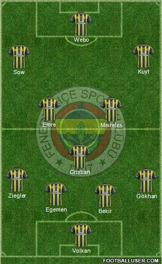Fenerbahçe SK Formation 2013