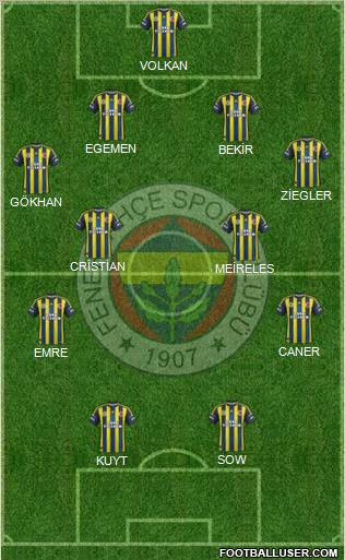 Fenerbahçe SK Formation 2013