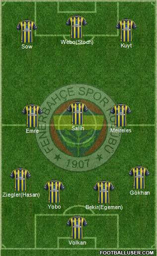 Fenerbahçe SK Formation 2013