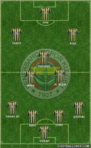 Fenerbahçe SK Formation 2013